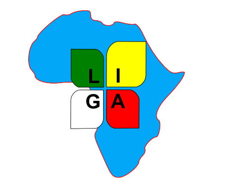 Laboratorio Italia Groupe Africa